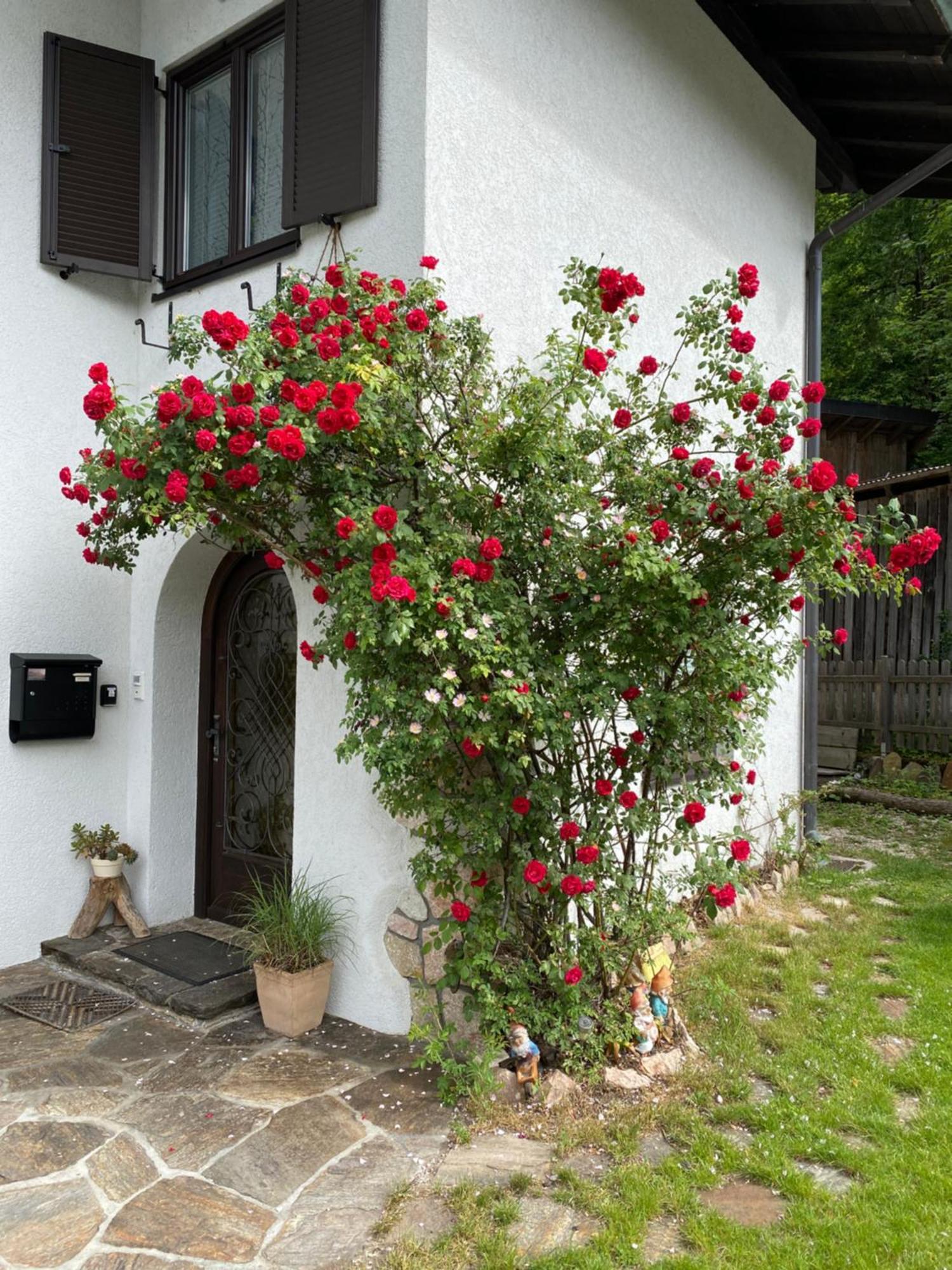 Ferienwohnung Laimer, Radau 37 Saint Wolfgang Esterno foto