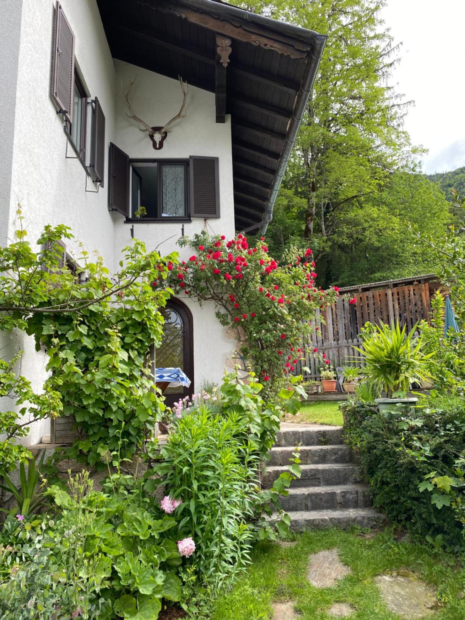 Ferienwohnung Laimer, Radau 37 Saint Wolfgang Esterno foto